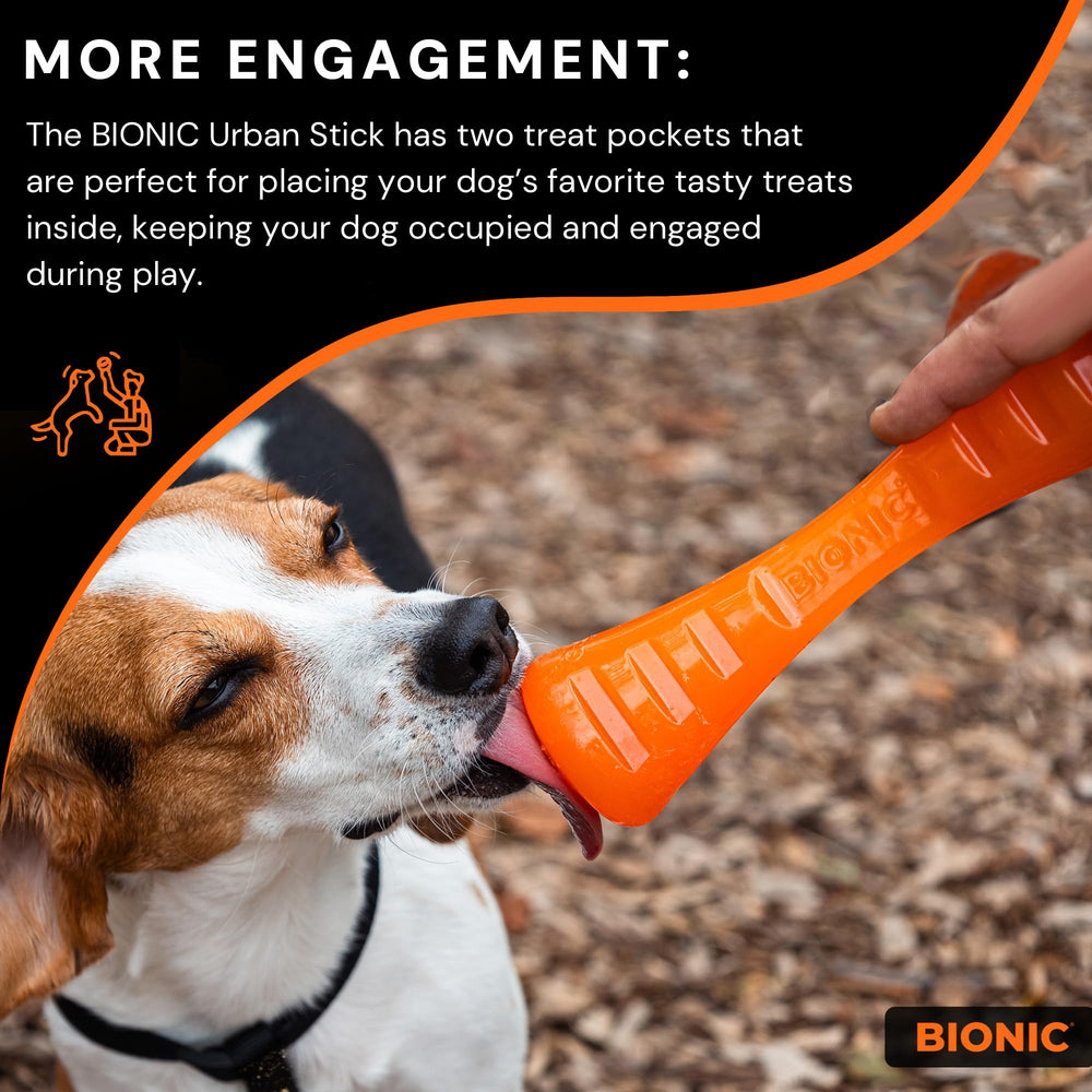 Chien rapportant BIONIC Urban Stick illustrant jeu actif et résistance