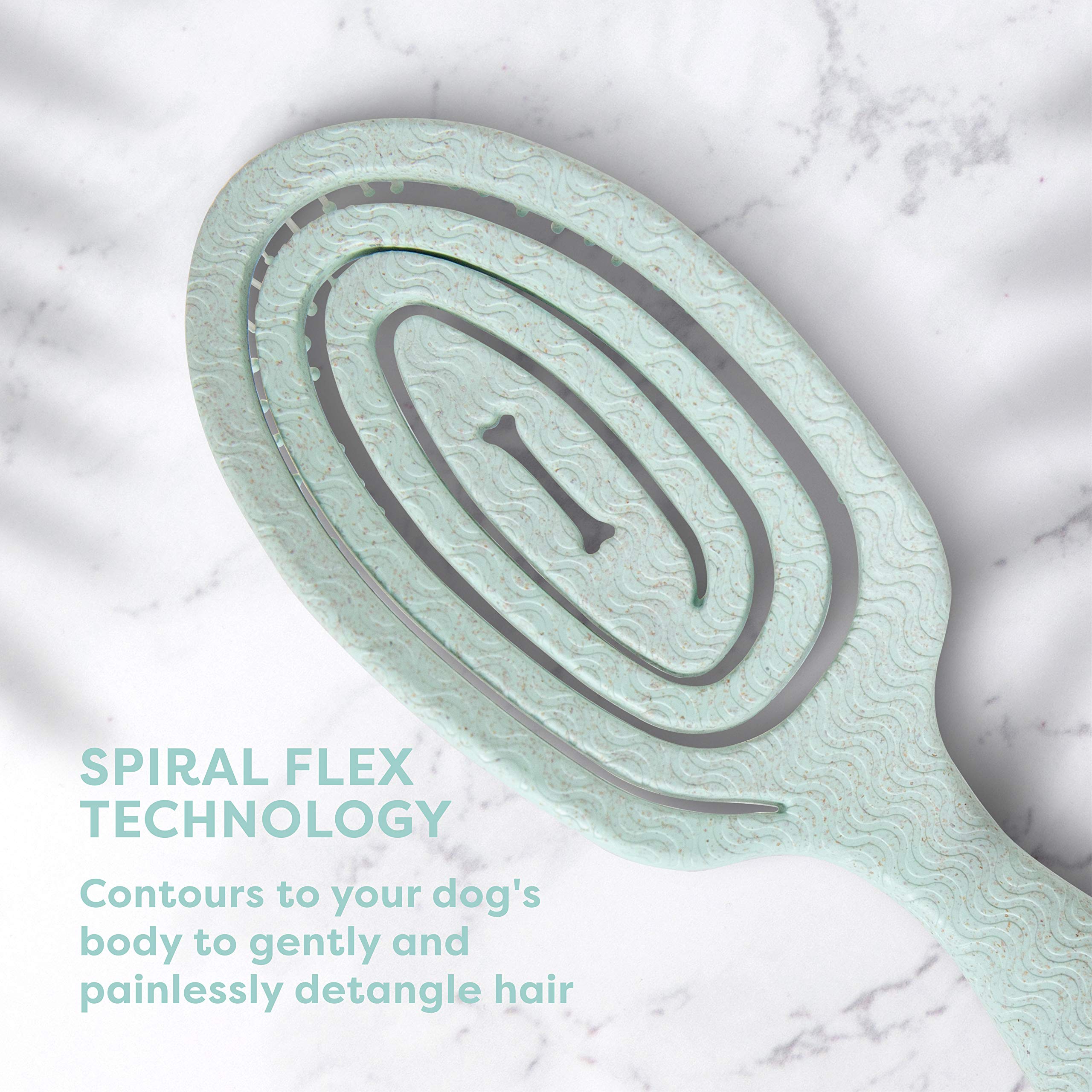 BioSilk brosse comparée à une main pour visualiser taille pratique