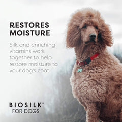 BioSilk chien en bain illustrant sécurité et confort du shampooing