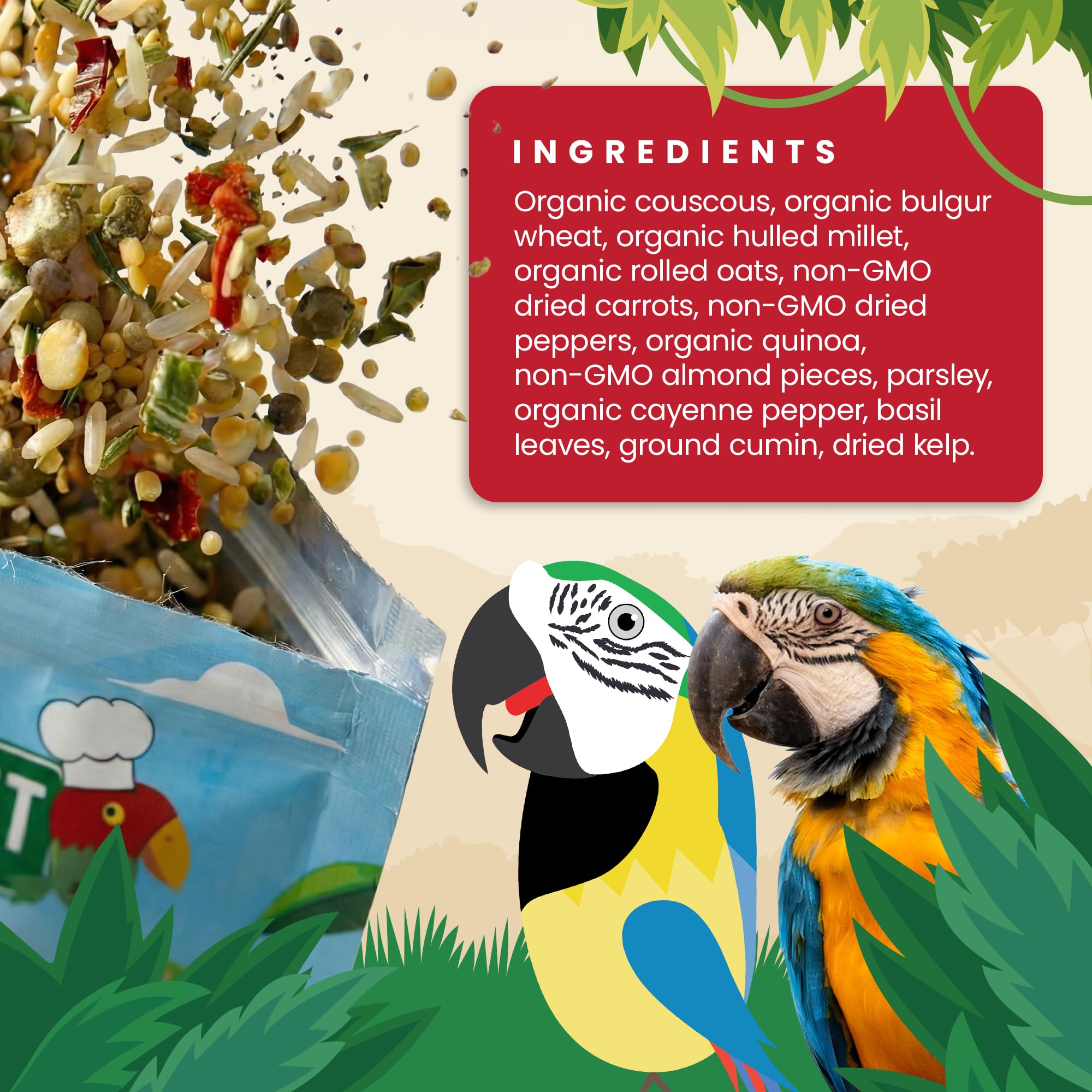 Bird Street Bistro gros plan texture grains et fruits pour appétence