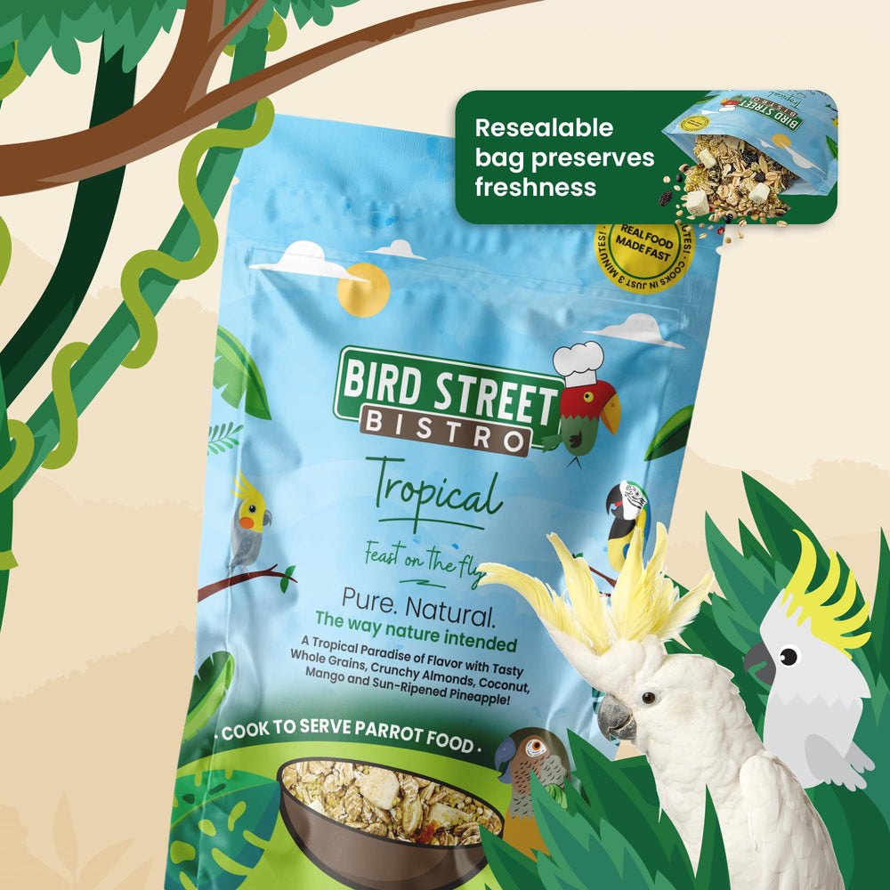 Bird Street Bistro assortiment d’ingrédients séparés montrant qualité et variété