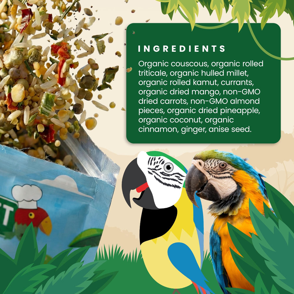 Bird Street Bistro gros plan de la texture pour apprécier grains et légumes séchés