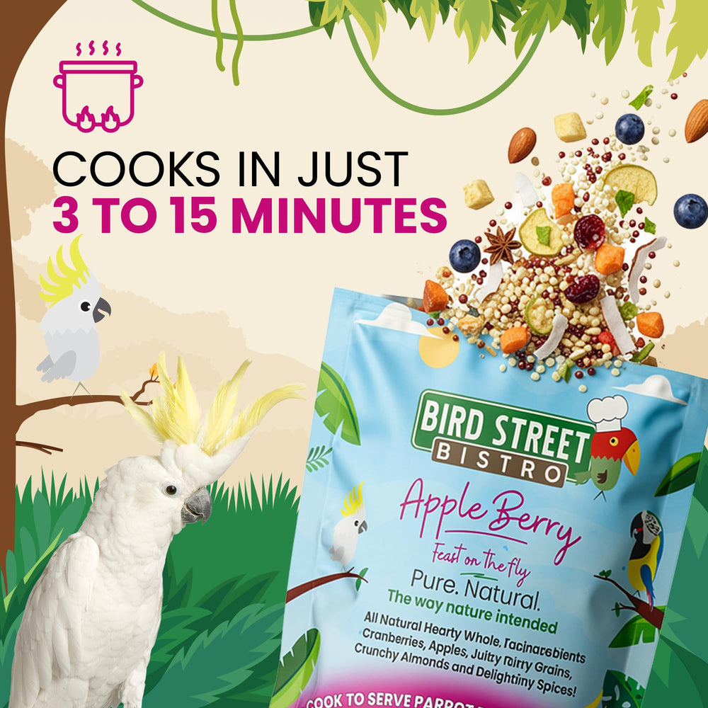 Bird Street Bistro préparation dans un bol, montre facilité de cuisson rapide