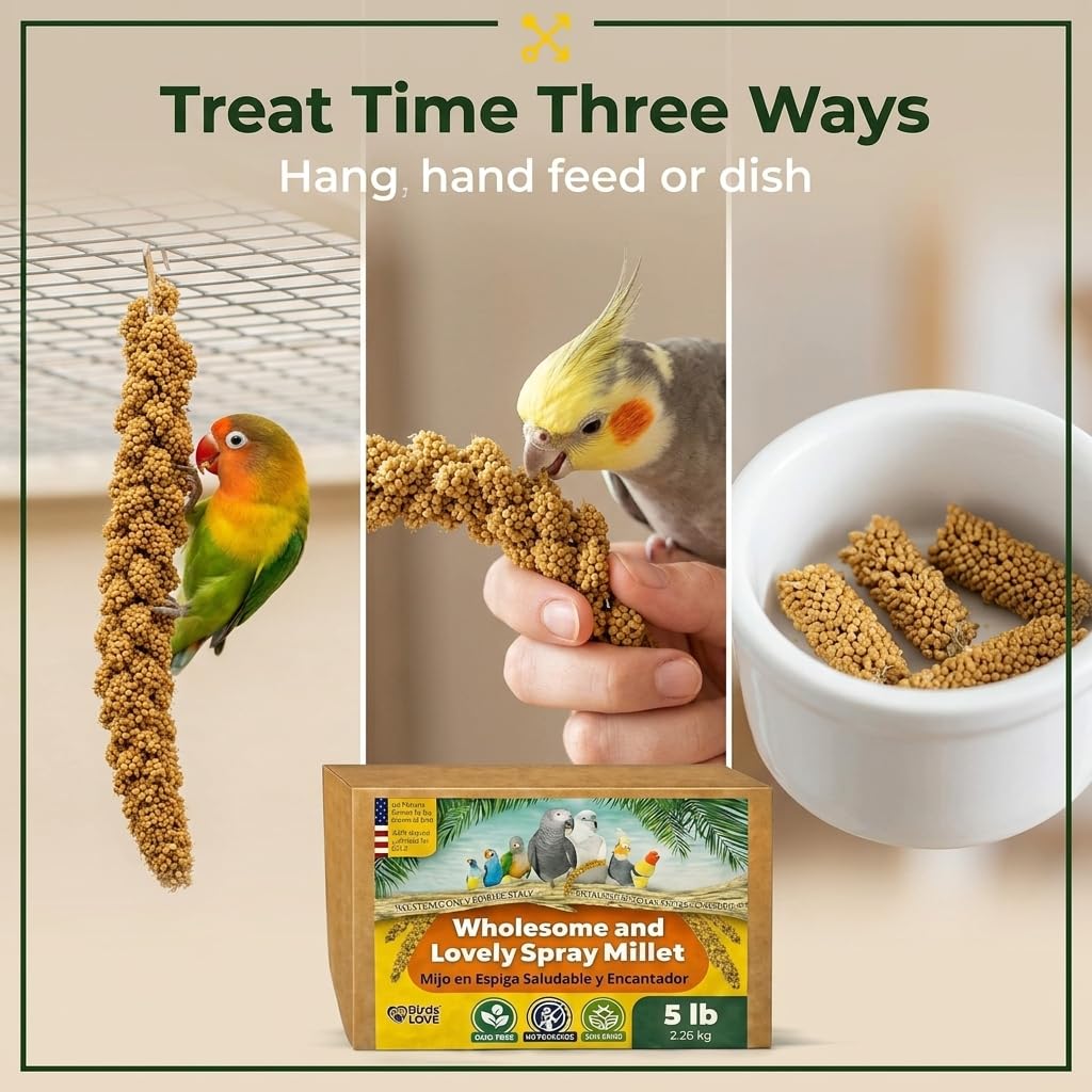 Birds LOVE grappe accrochée dans une cage pour jeu et exercice de picorage
