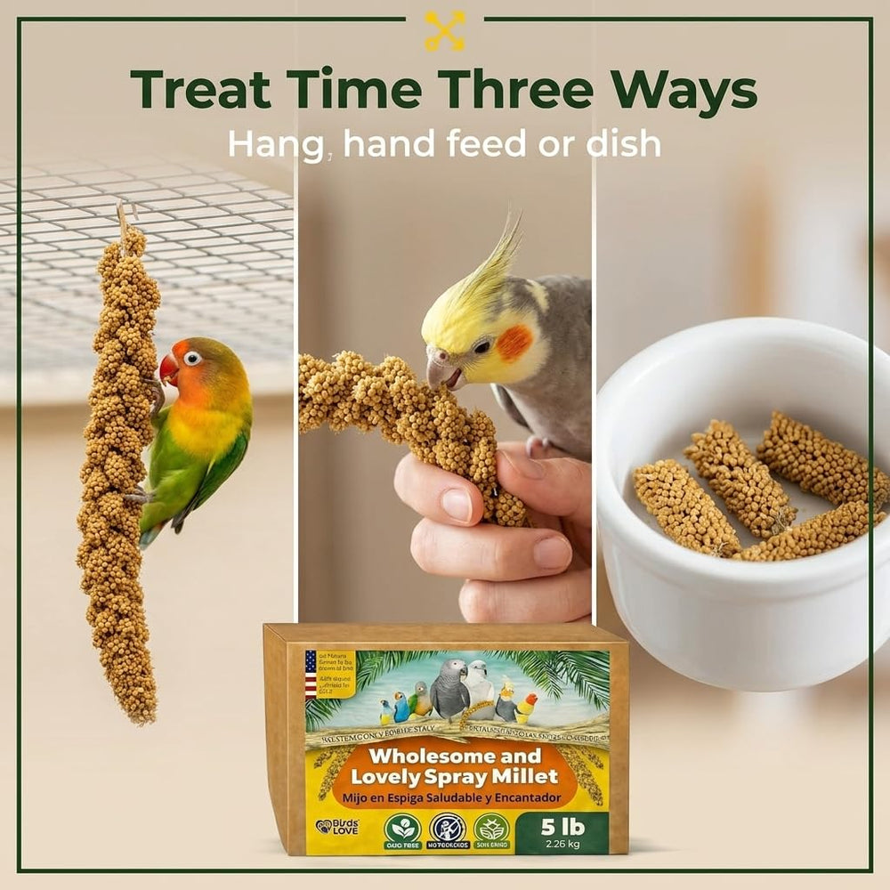 Birds LOVE grappe accrochée dans une cage pour jeu et exercice de picorage