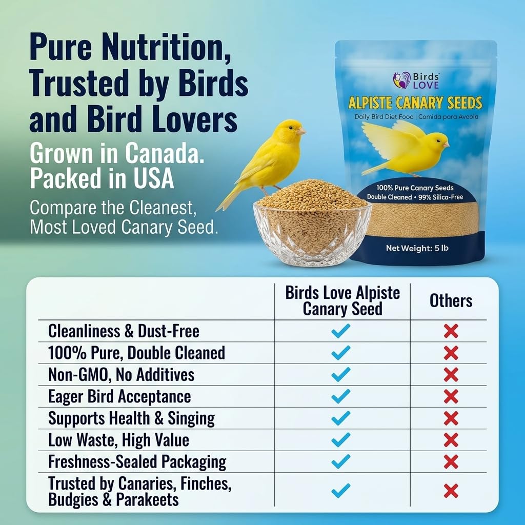 Gros plan sur les graines d'alpiste Birds LOVE montrant texture propre et double nettoyage
