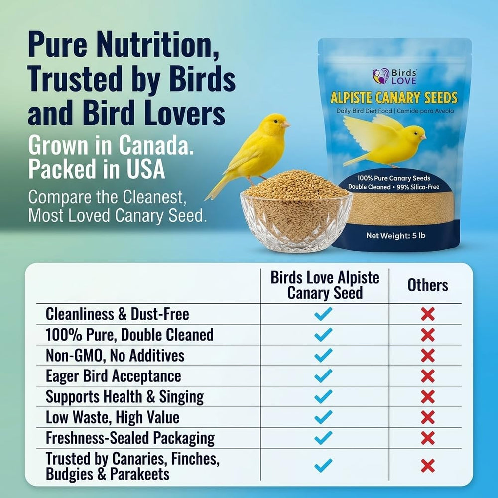 Gros plan sur les graines d'alpiste Birds LOVE montrant texture propre et double nettoyage