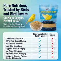 Gros plan sur les graines d'alpiste Birds LOVE montrant texture propre et double nettoyage