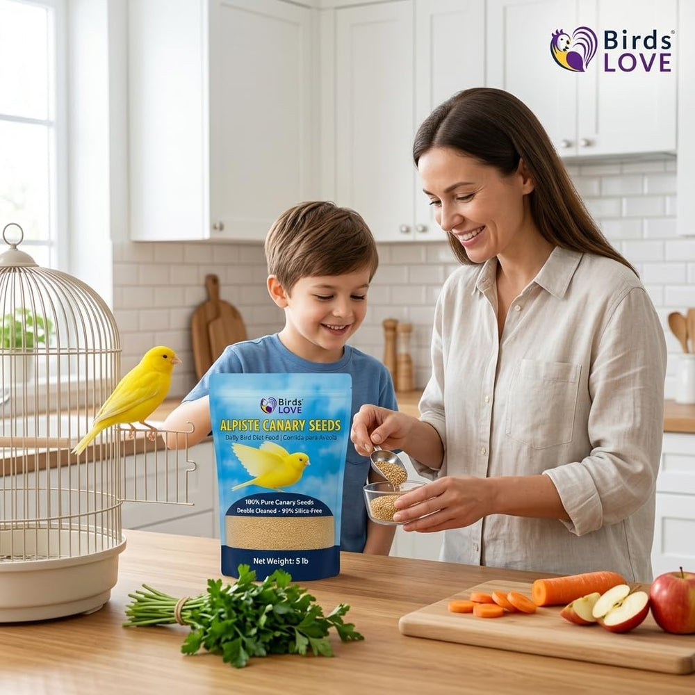 Scène d'alimentation Birds LOVE dans une volière propre montrant utilisation pratique