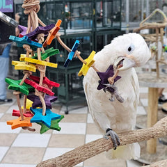 Birds LOVE jouet suspendu dans cage montrant stimulation de jeu