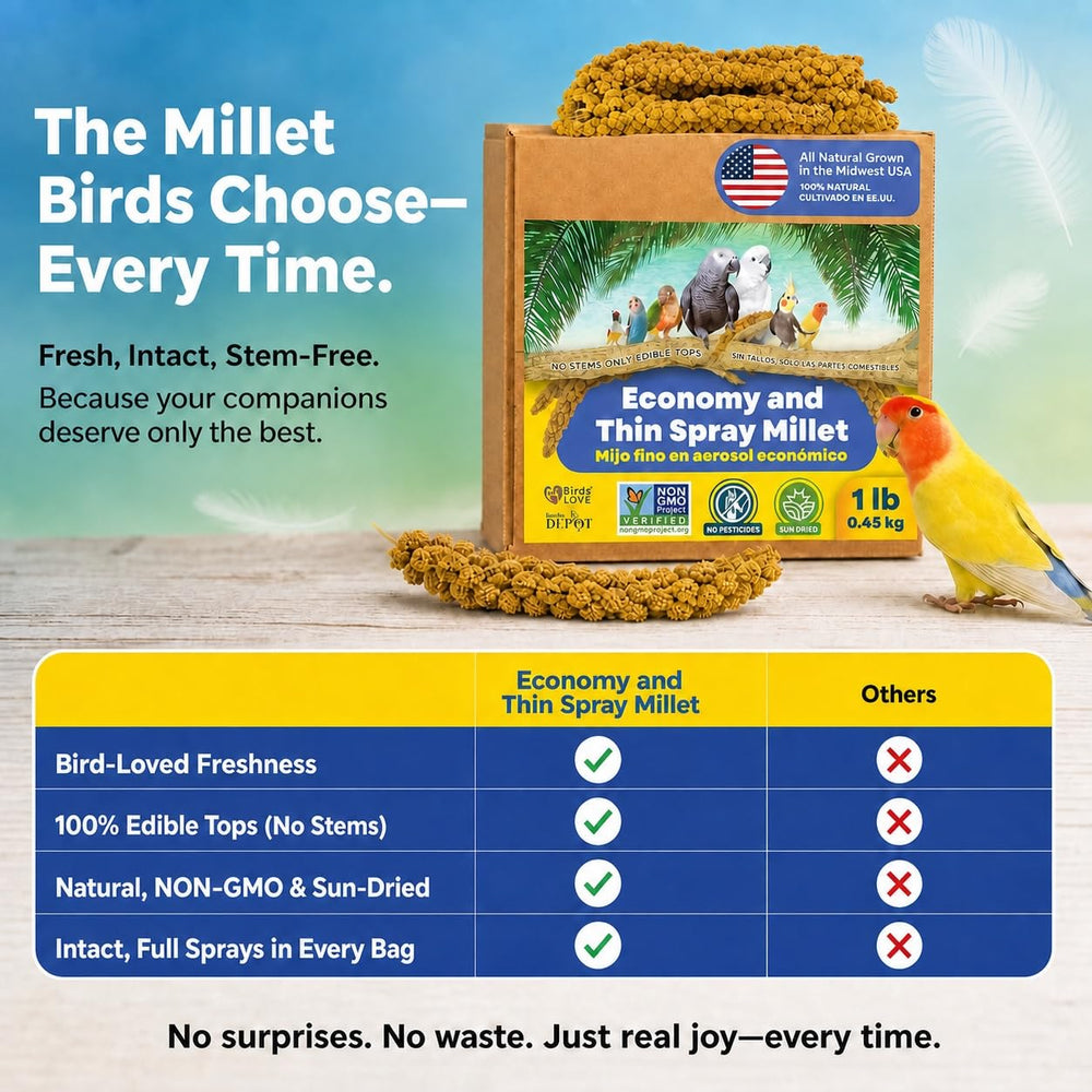 Birds LOVE détail des sommets sans tiges facilitant l’accès aux graines