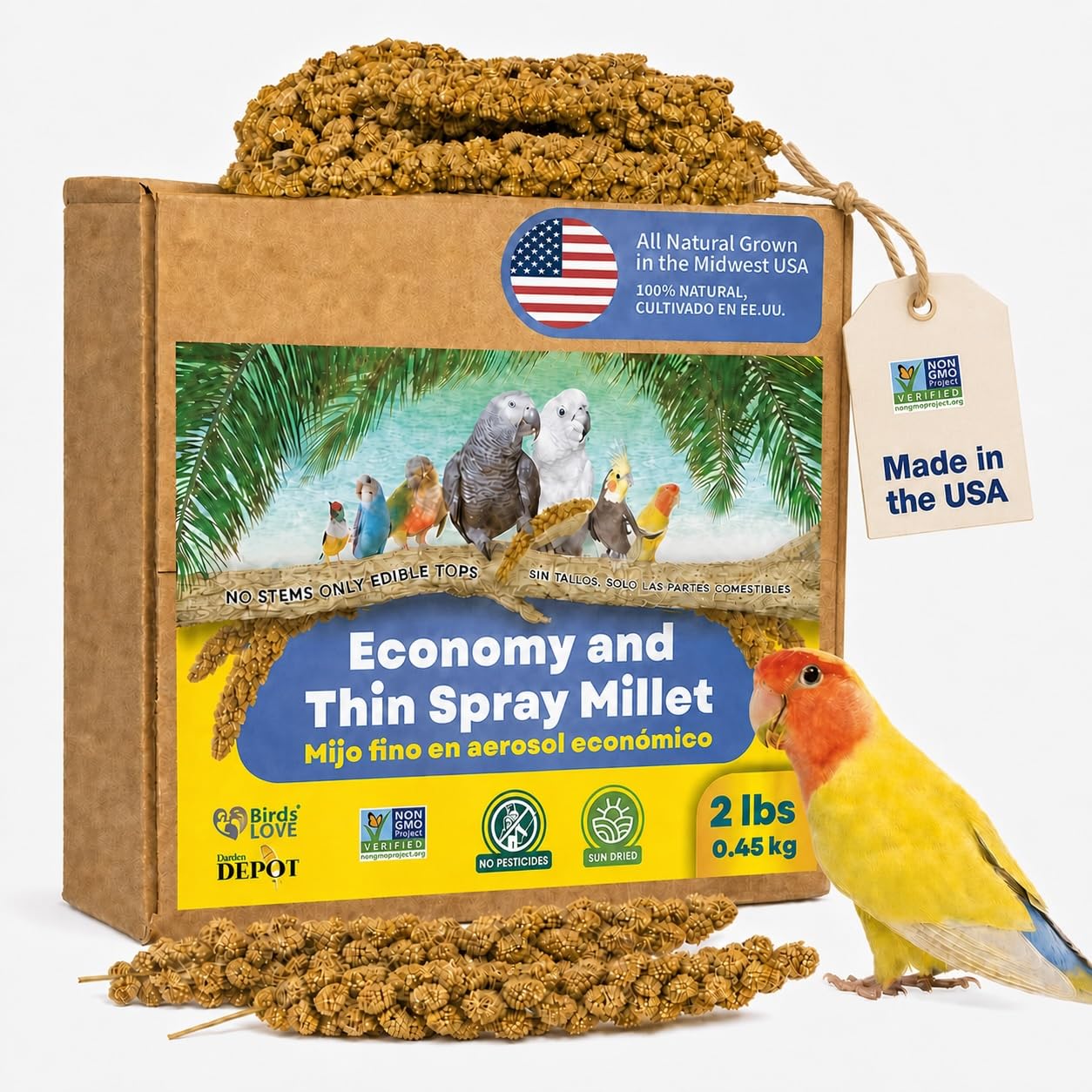 Birds LOVE gros plan sur graines de millet sans tiges bénéfice appétence