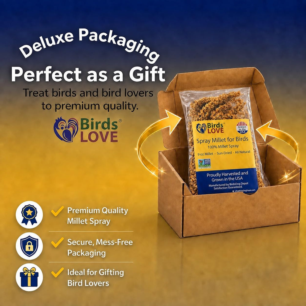 Birds LOVE gros plan sur graines, texture naturelle appétissante