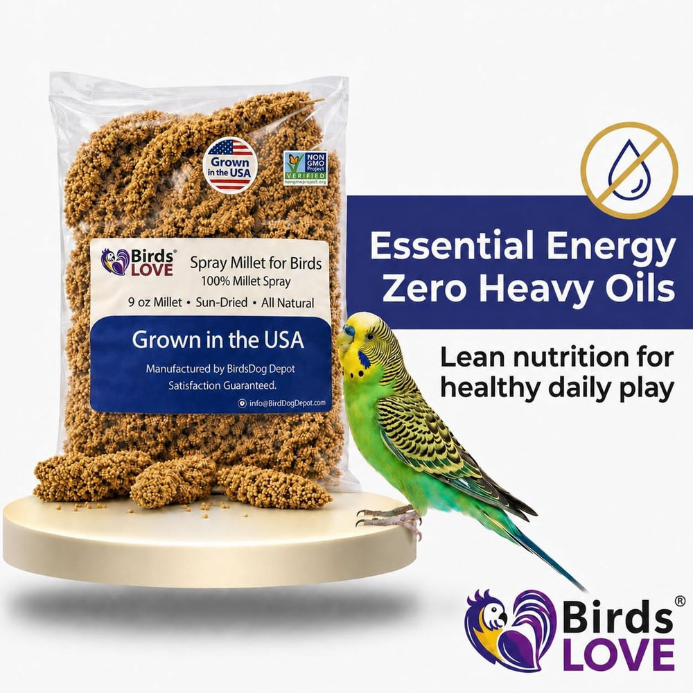 Birds LOVE main tenant un épi pour interaction et confiance