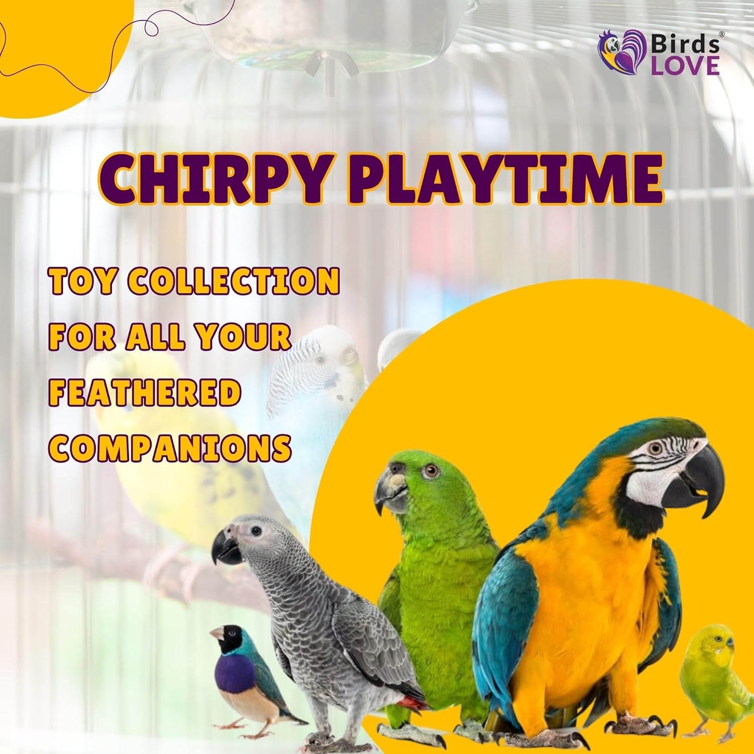 Birds LOVE jouet sur playgym en salon montrant interaction naturelle