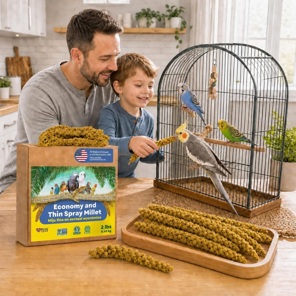 Birds LOVE oiseau picorant spray bénéfice comportement naturel encouragé