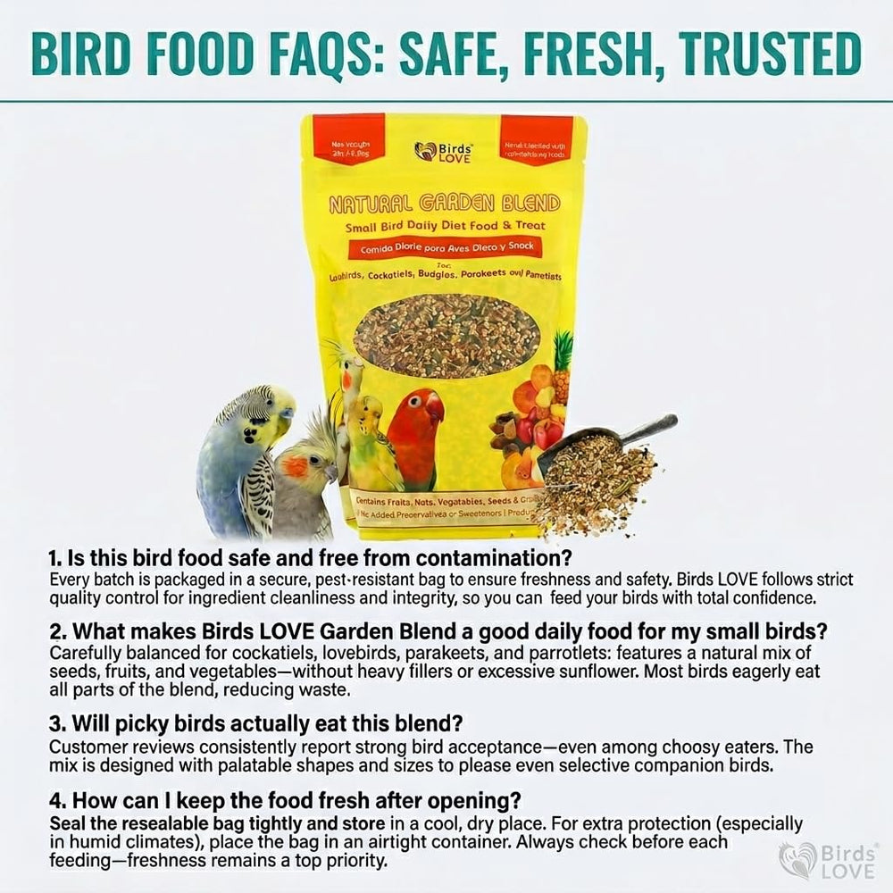 Birds LOVE scène lifestyle en intérieur présentant usage quotidien attractif