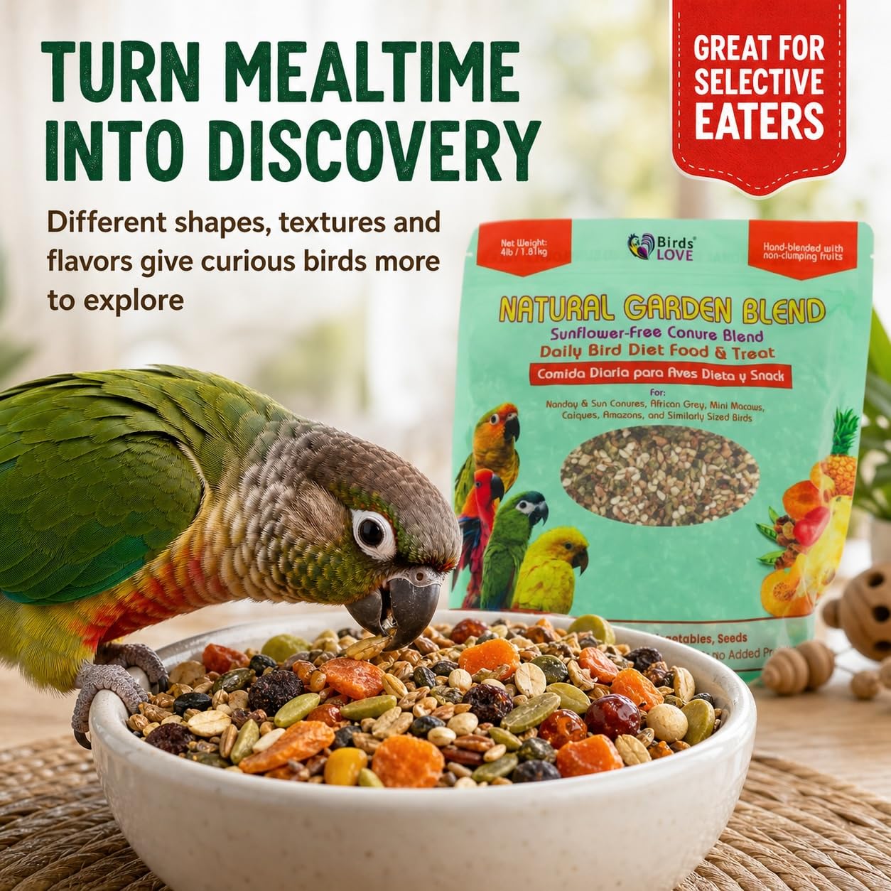 Birds LOVE noix et graines montrant nutriments et texture