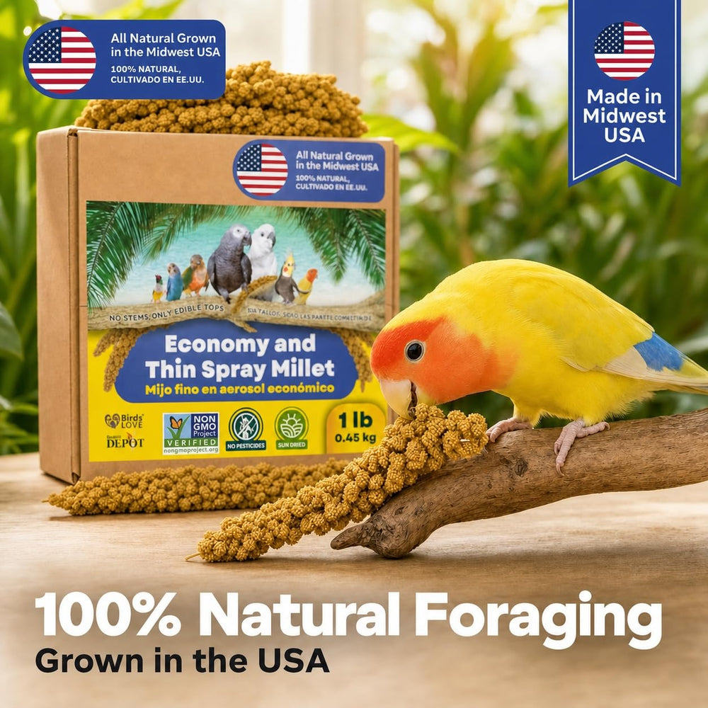 Birds LOVE sachet ouvert révélant sommets comestibles sans tiges