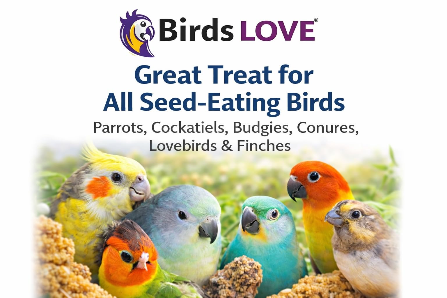 Birds LOVE sachets ouverts montrant la consistance et l'abondance des grappes