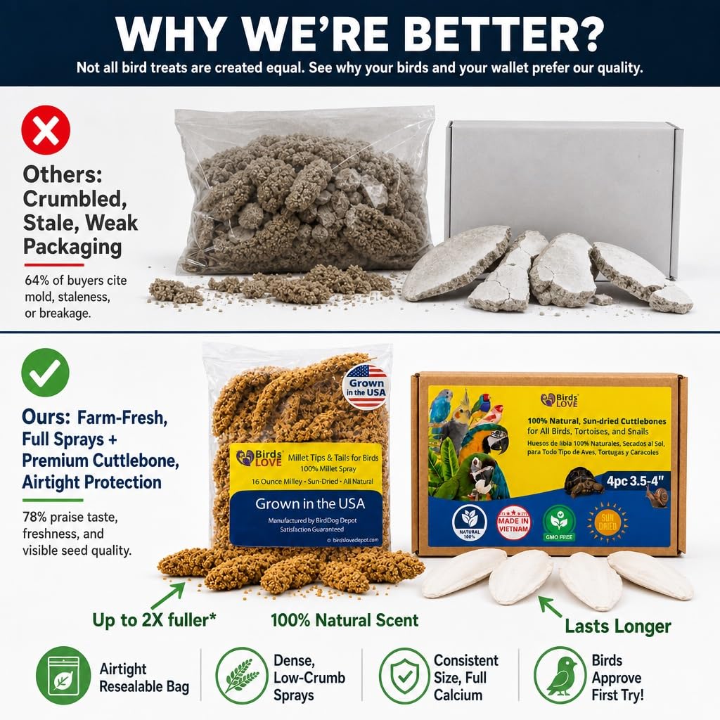 Birds LOVE comparaison taille millet et cuttlebone pour échelle pratique