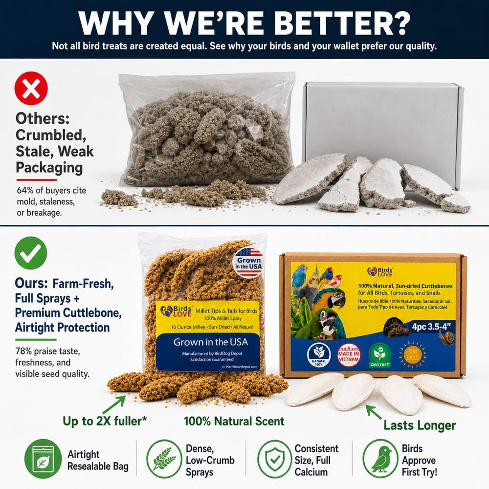 Birds LOVE comparaison taille millet et cuttlebone pour échelle pratique