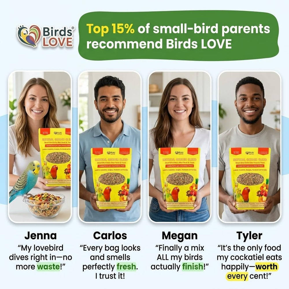 Birds LOVE gros plan sur texture du mélange montrant tailles variées
