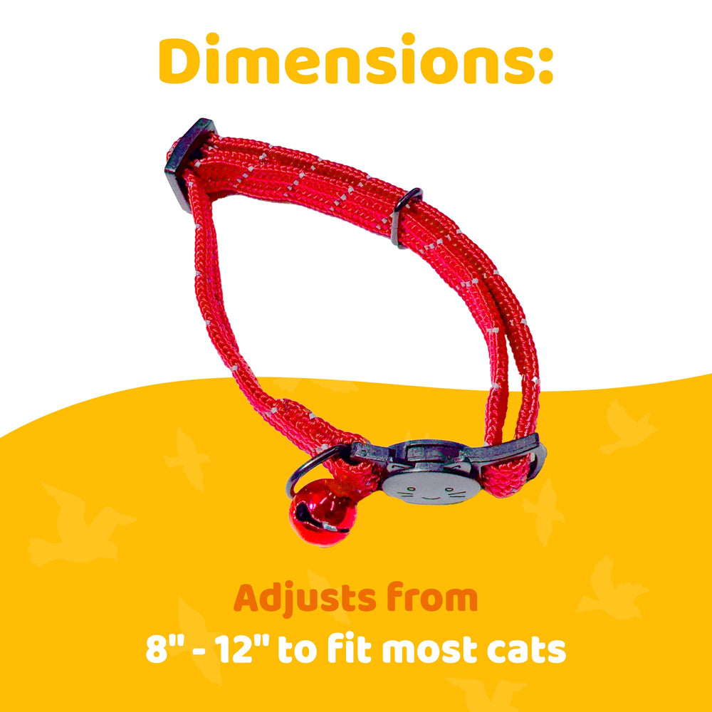 Birdsbesafe collier porté sur chat en extérieur pour protection