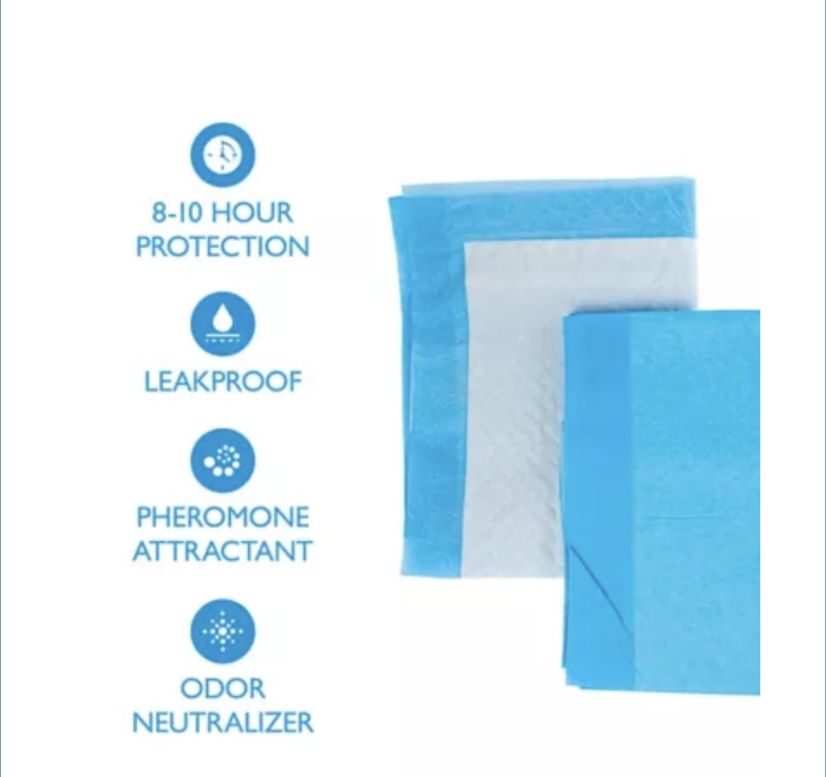 Birsppy gros plan du noyau absorbant montrant absorption rapide