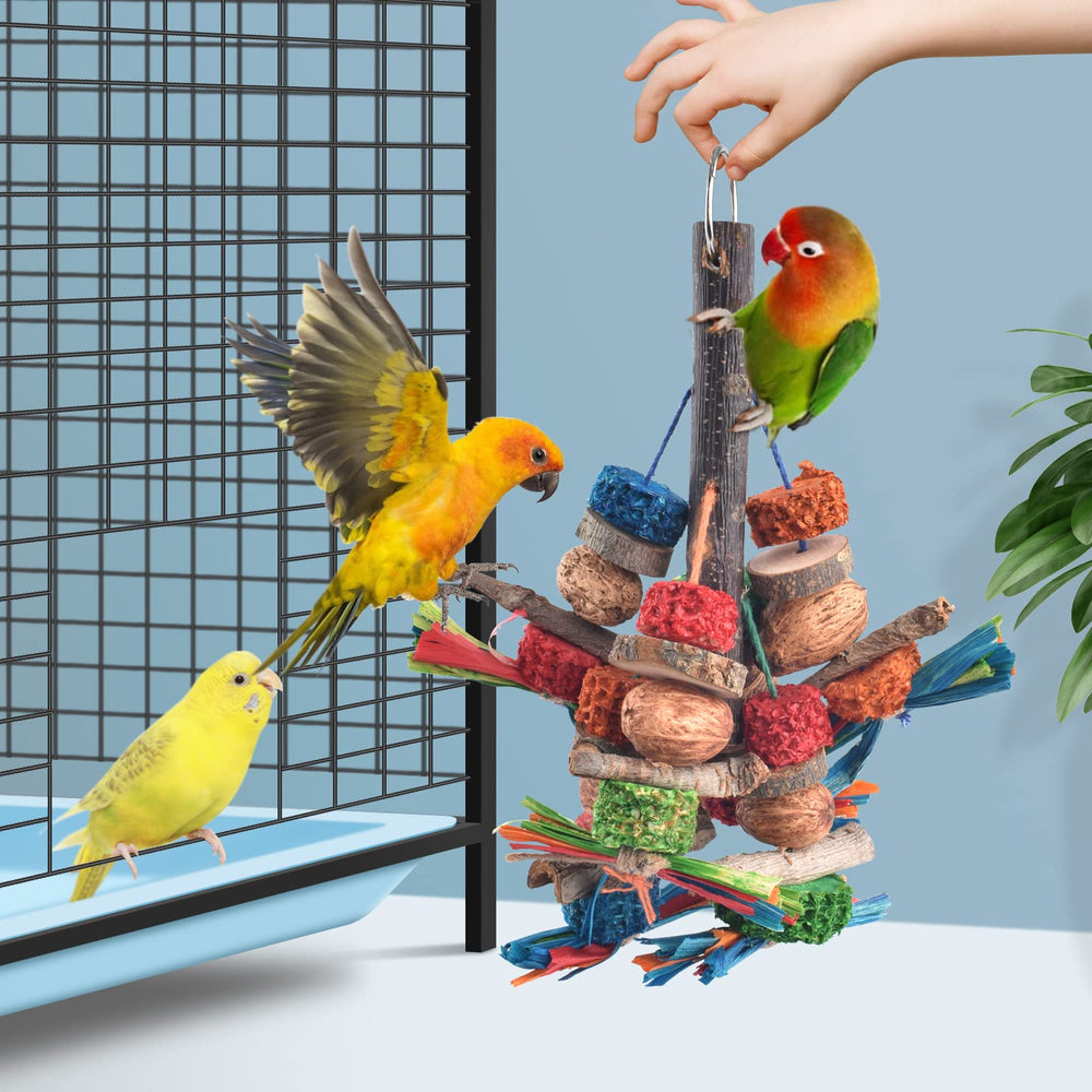 Bissap comparaison de taille dans cage montrant adaptation pratique
