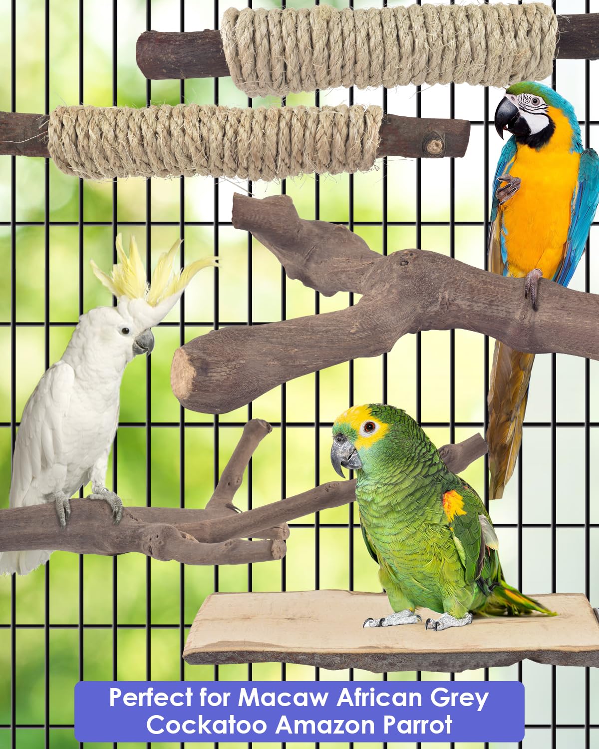 Bissap mise en scène cage et perchoirs créant environnement naturel