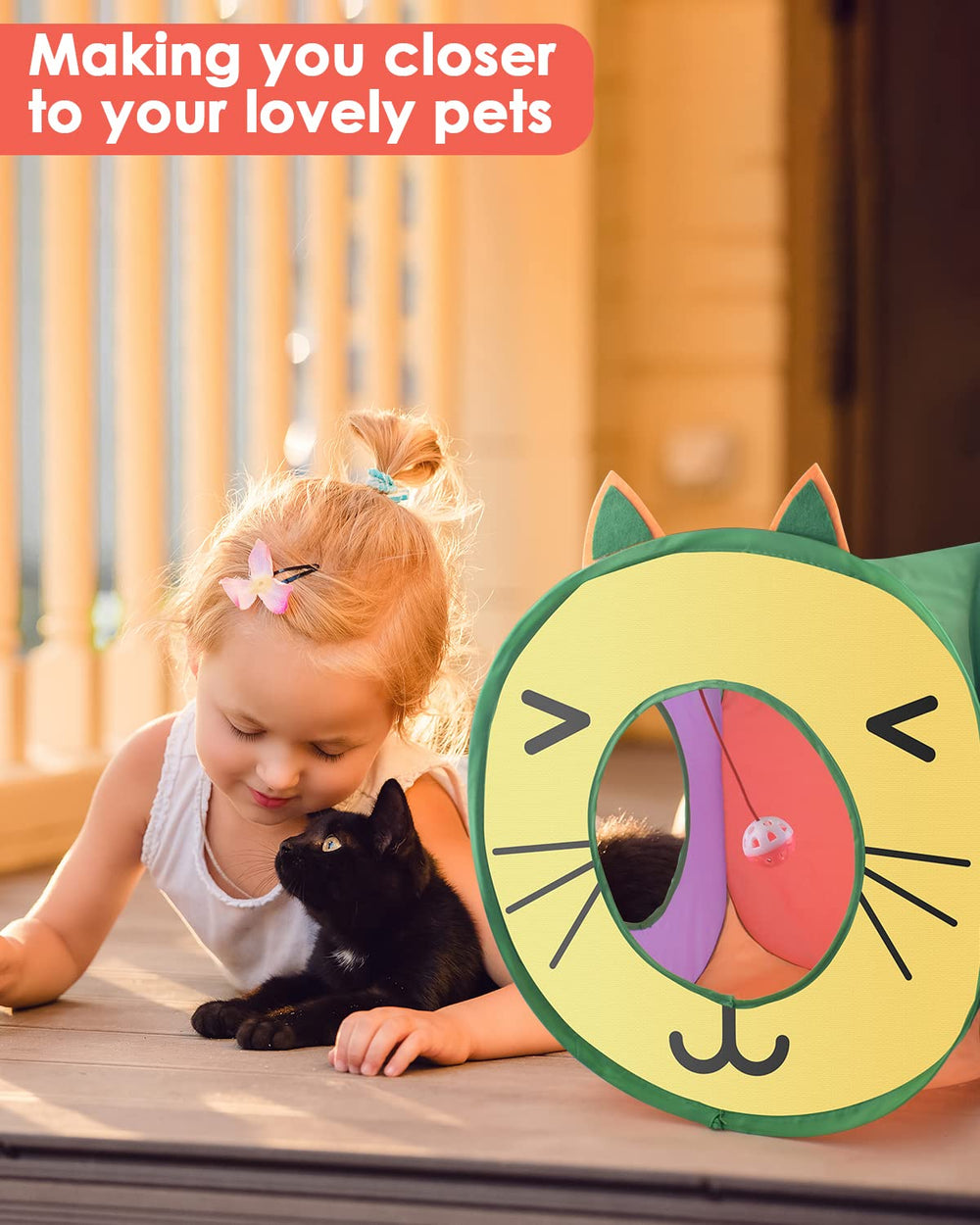Bissap cube à côté d'un chat pour comparaison taille, montre espace intérieur