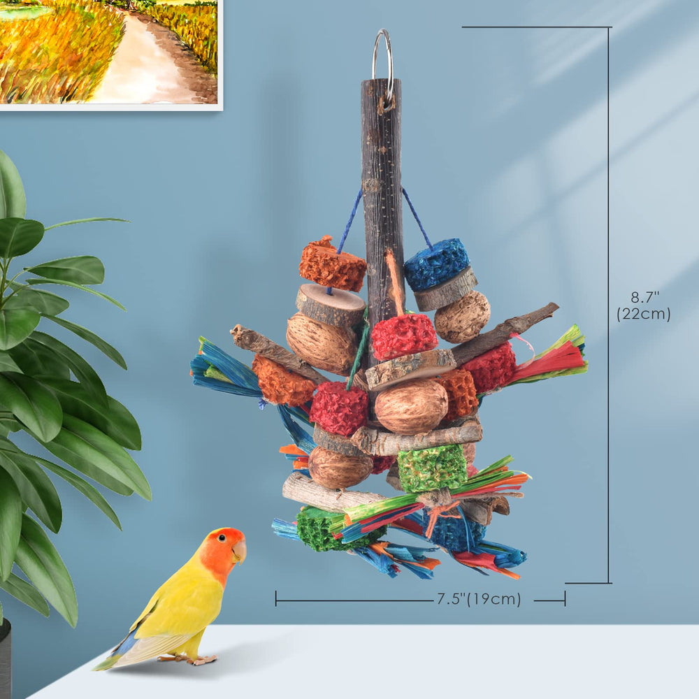 Bissap gros plan du bois avec textures variées stimulant le bec