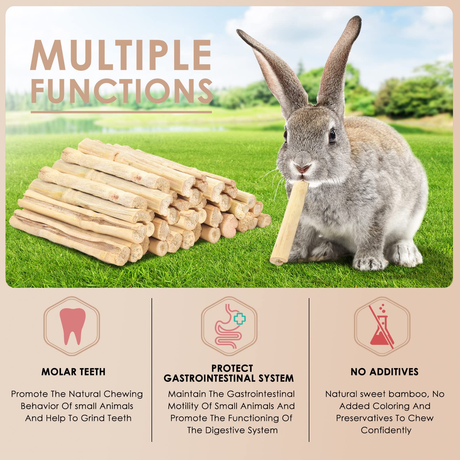 Bissap bâtonnets en cage démontrant stimulation et jeu pour lapin