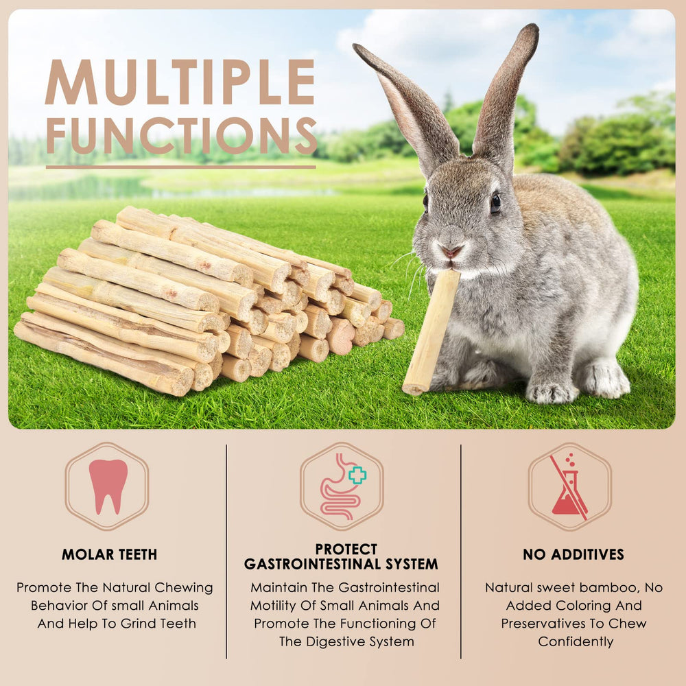 Bissap bâtonnets en cage démontrant stimulation et jeu pour lapin