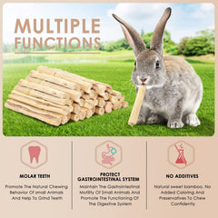 Bissap bâtonnets en cage démontrant stimulation et jeu pour lapin