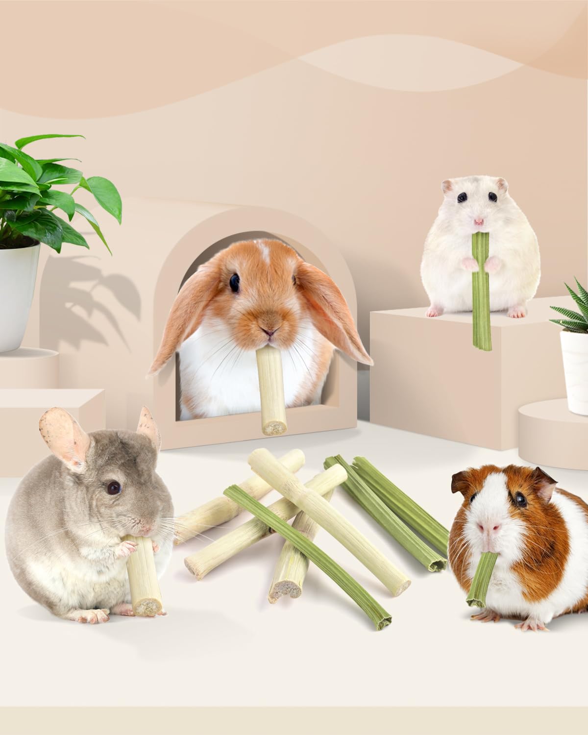Bissap étiquette produit listant bambou et papayer, transparence ingrédients