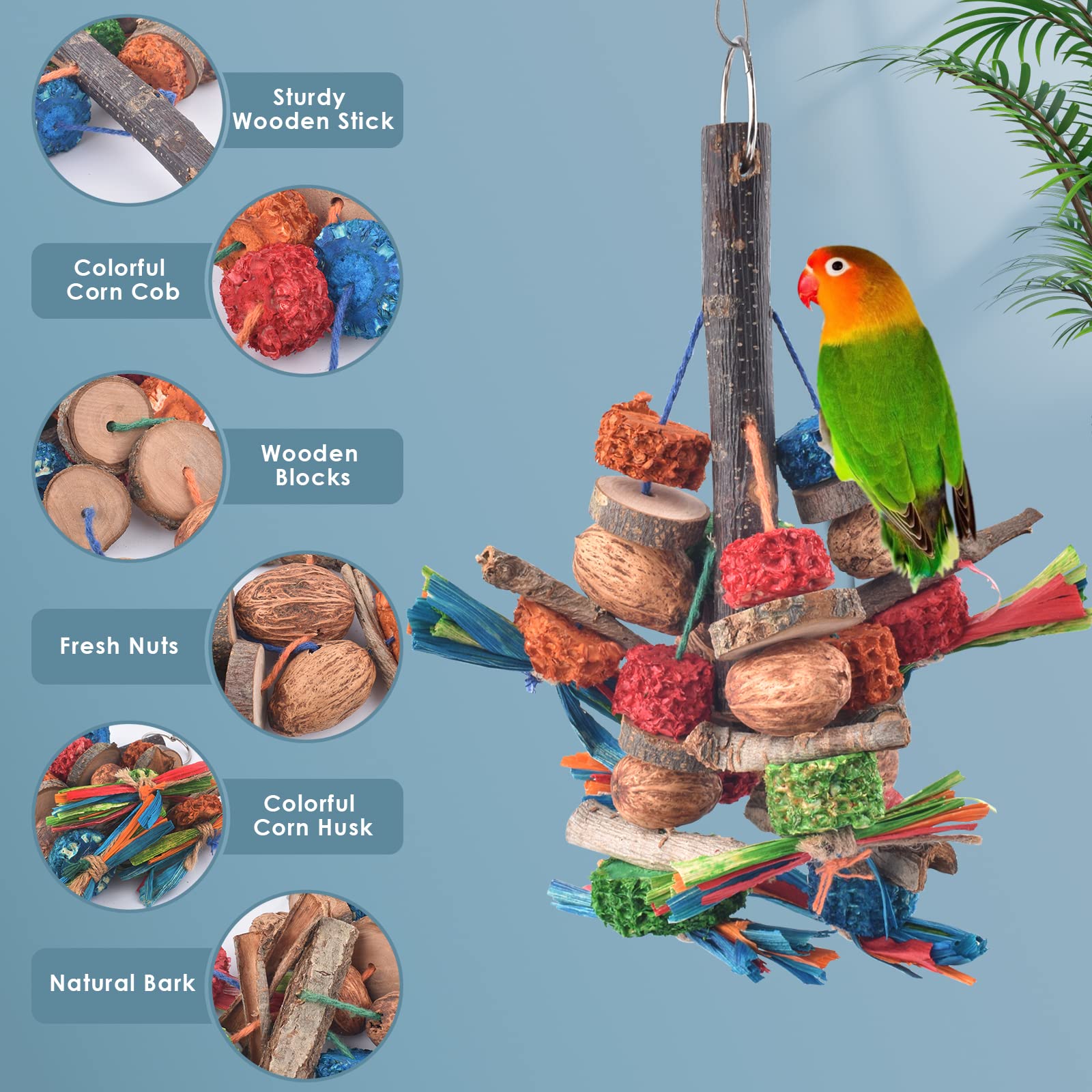 Bissap gros plan écorce et maïs offrant mastication naturelle