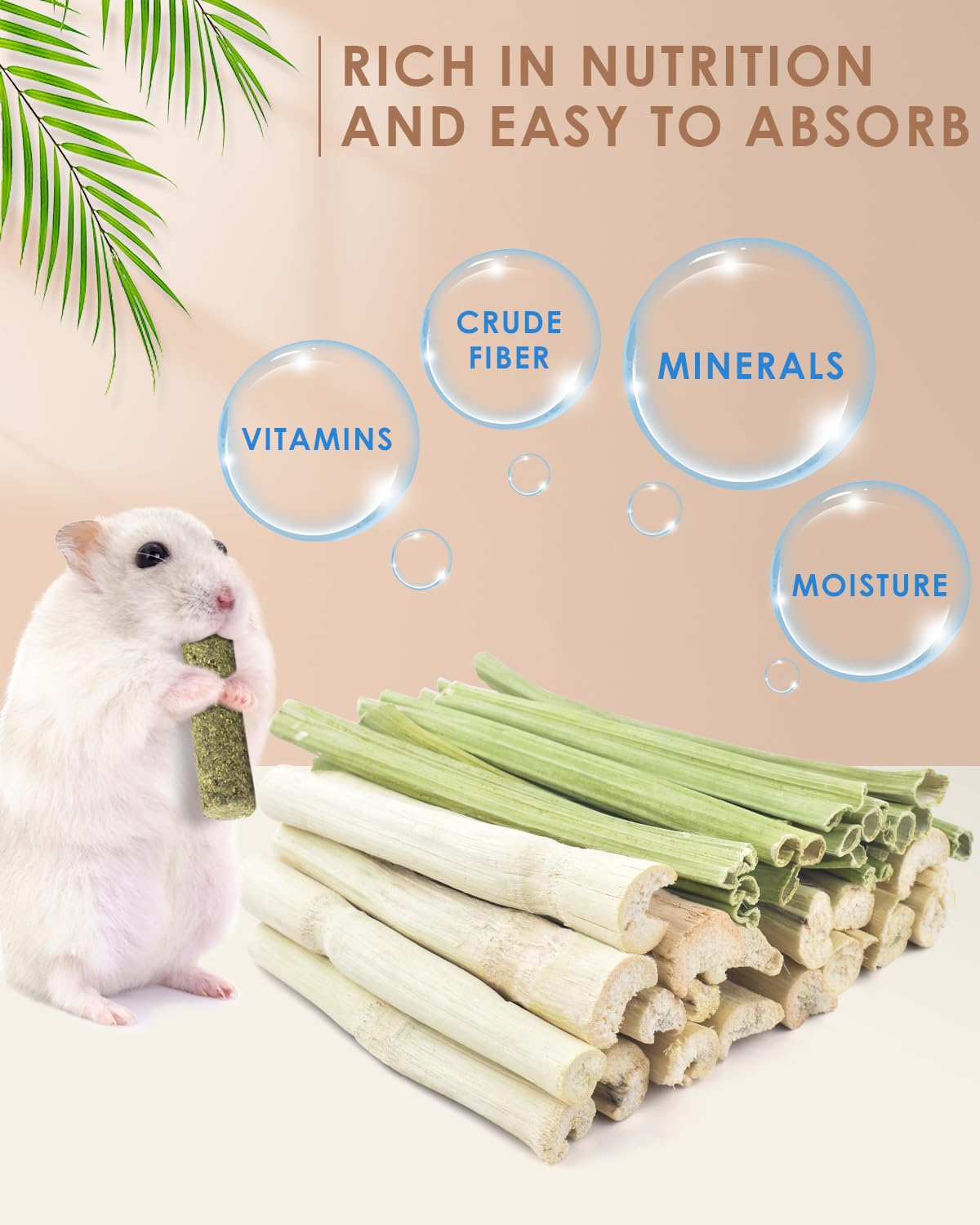 Bissap gros plan sur texture bambou pour usure dentaire régulière