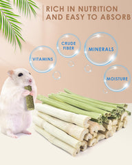 Bissap gros plan sur texture bambou pour usure dentaire régulière