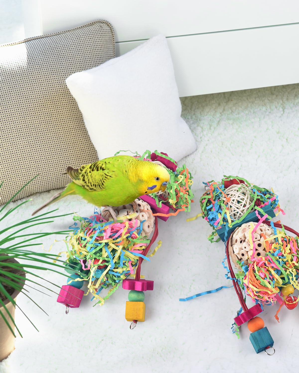 Bissap jouet en usage avec perruche dans une cage illustrant engagement quotidien