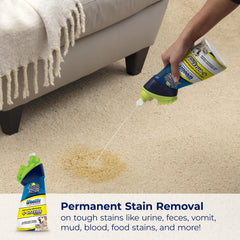 Bissell pulvérisation sur tapis illustrant élimination rapide des taches
