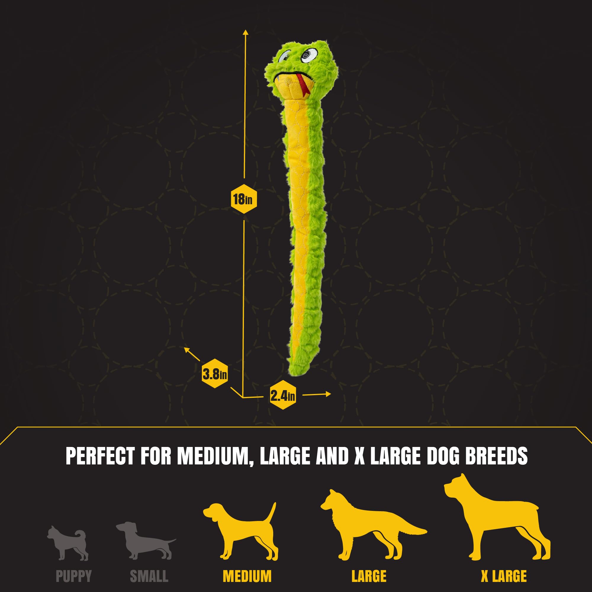 Bite Force comparaison de taille avec règle aide à choisir la bonne dimension