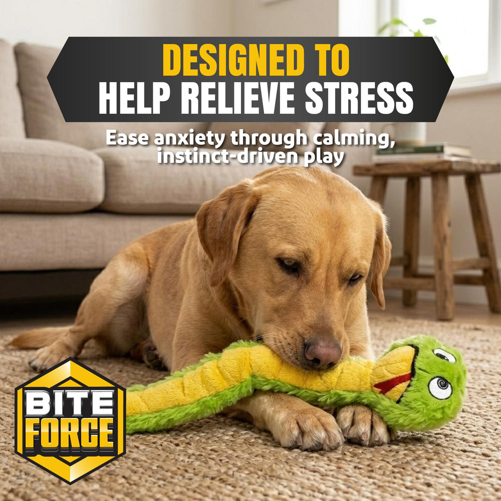 Bite Force détail des coutures renforcées garantissant une meilleure tenue