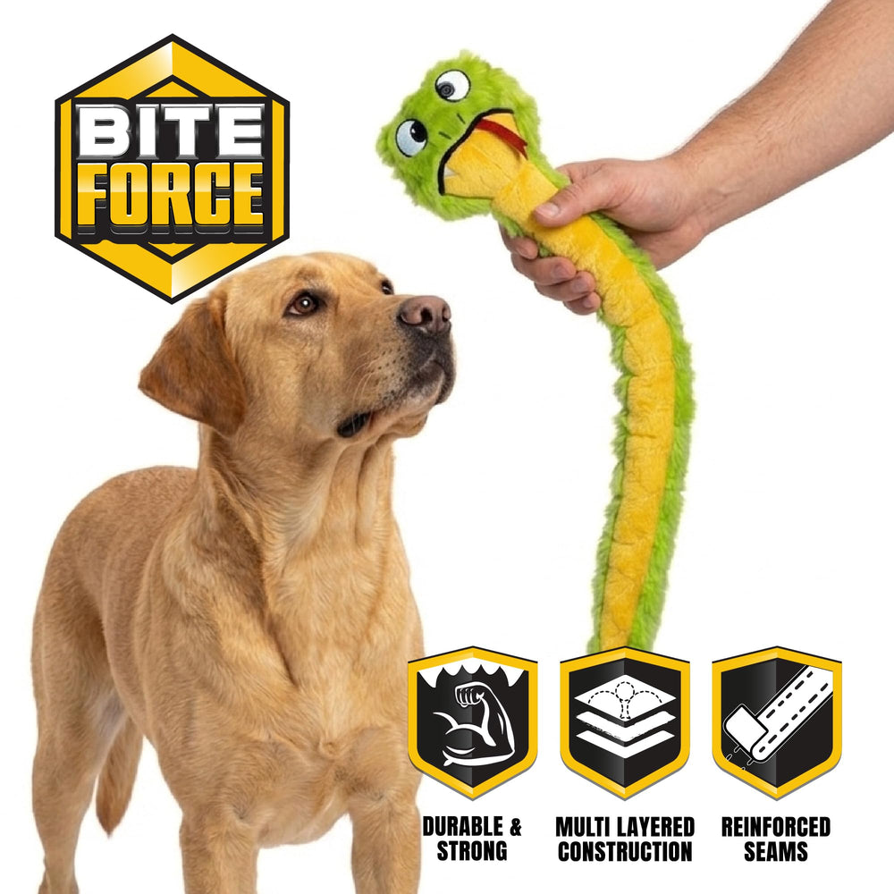 Bite Force plan sur le couineur interne stimulant l'intérêt du chien