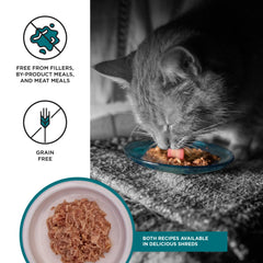 BIXBI chat mange sur table, goût apprécié et hydratation augmentée
