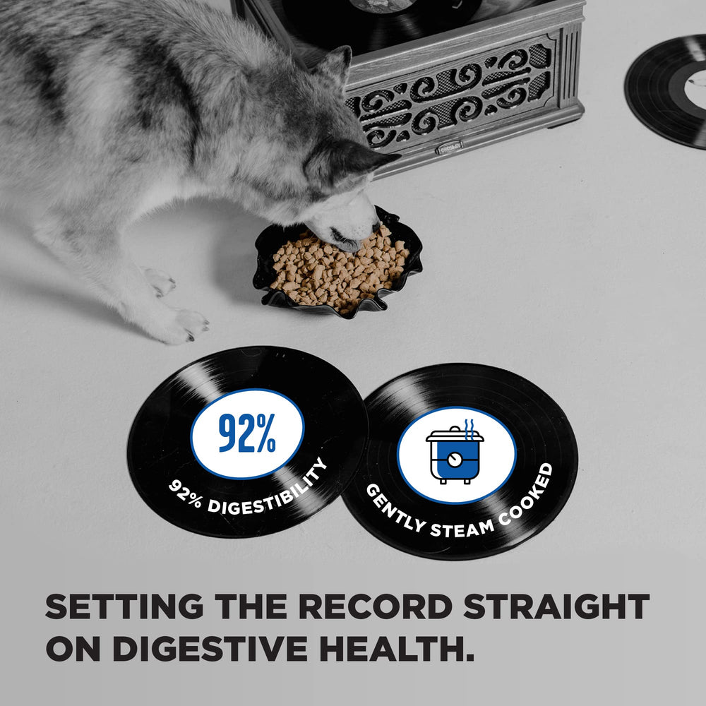 BIXBI grains anciens quinoa et avoine apportant fibres et énergie