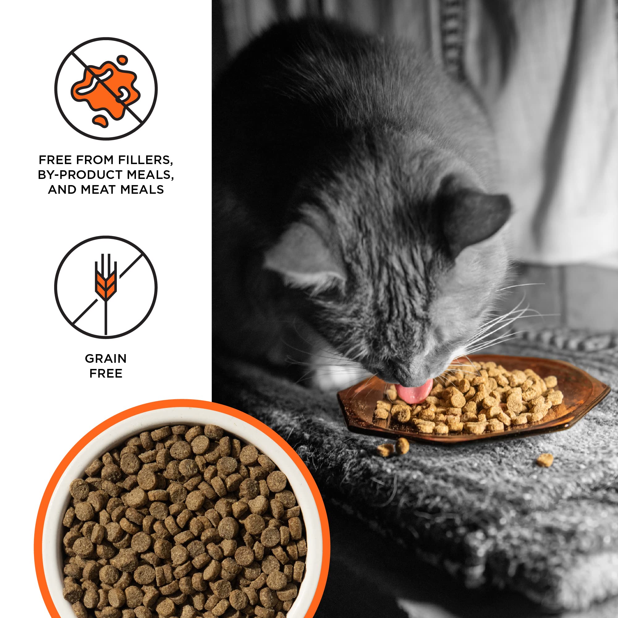 BIXBI prise en main pour visualiser la taille du sac de 3lb avec praticité