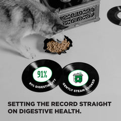 BIXBI chiot mangeant montrant énergie et santé digestive