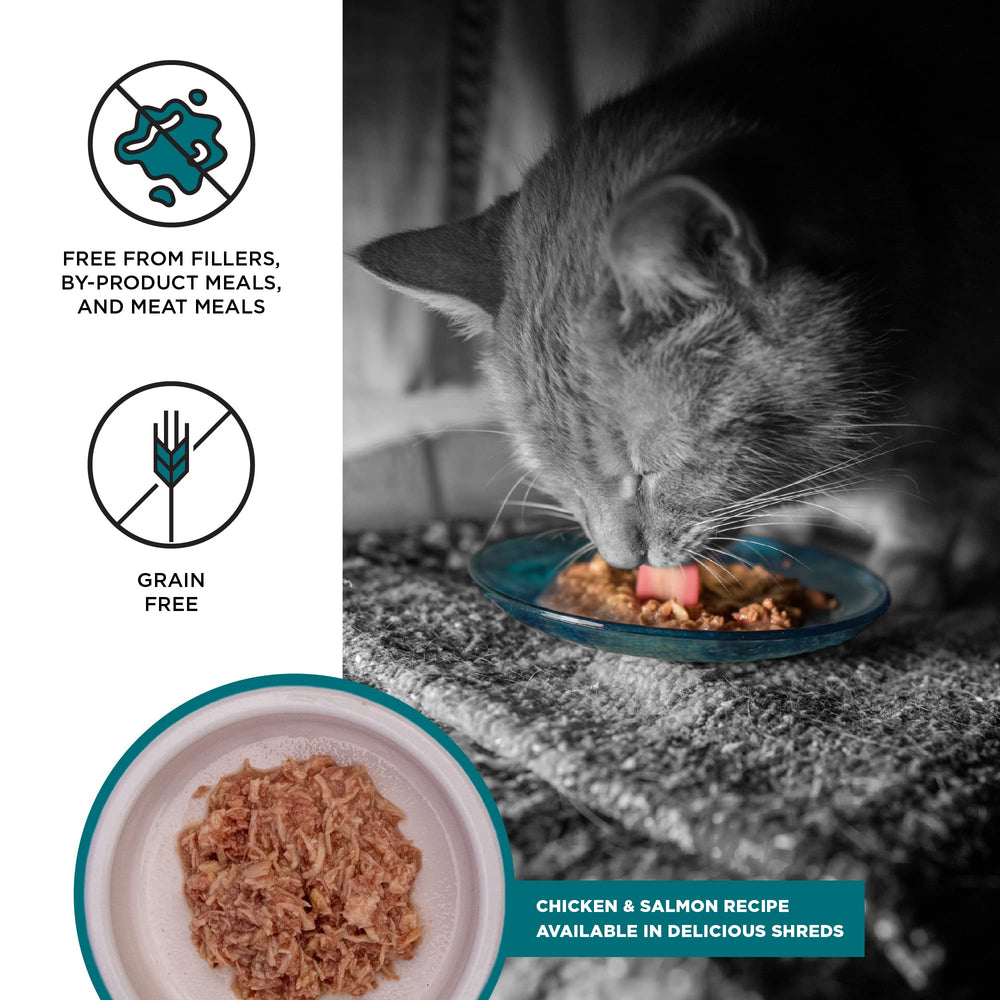 BIXBI gros plan de la texture hachée en bouillon pour appétence accrue